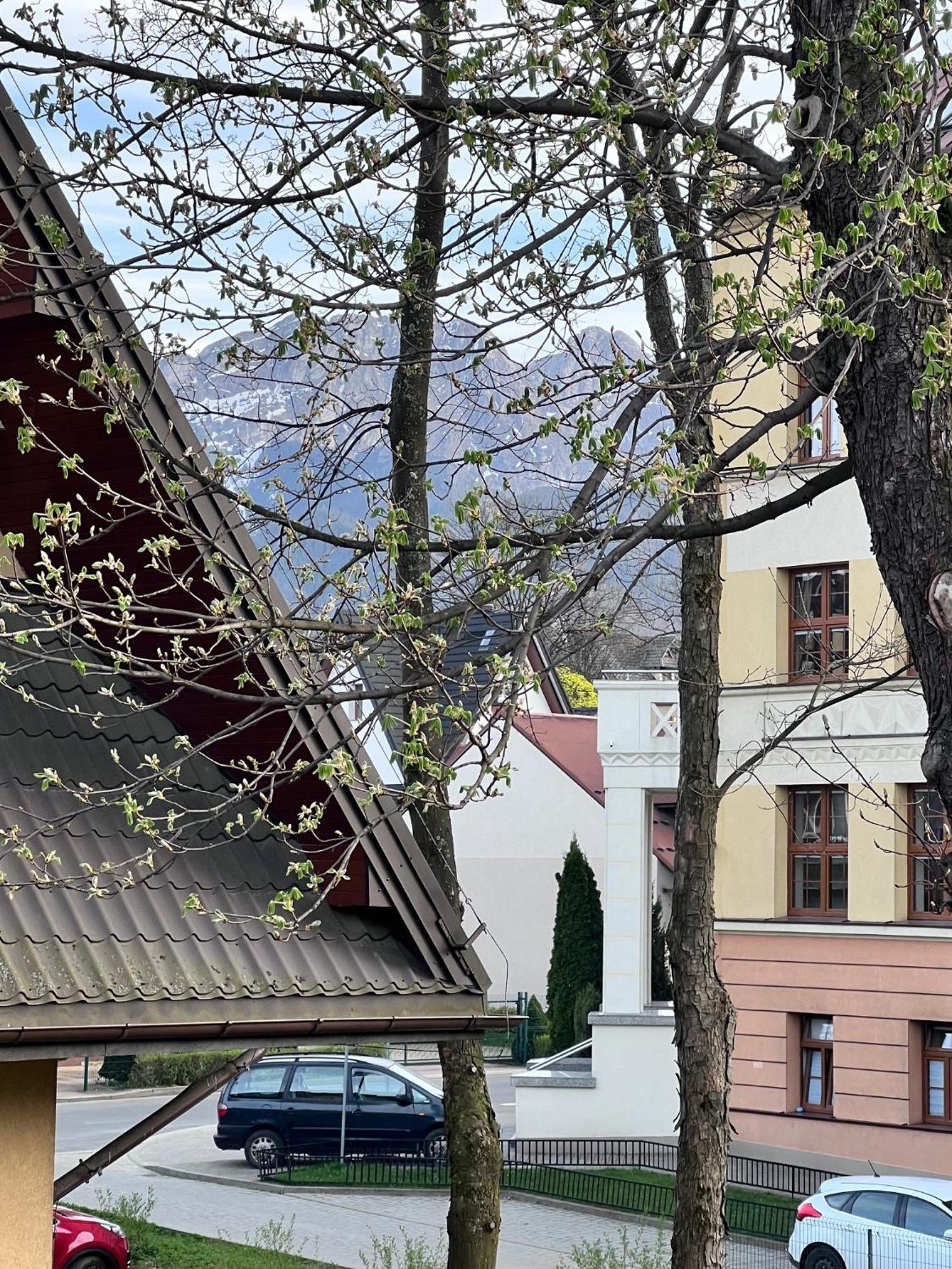 Willa Jasna Apartamenty Centrum Zakopane Luaran gambar